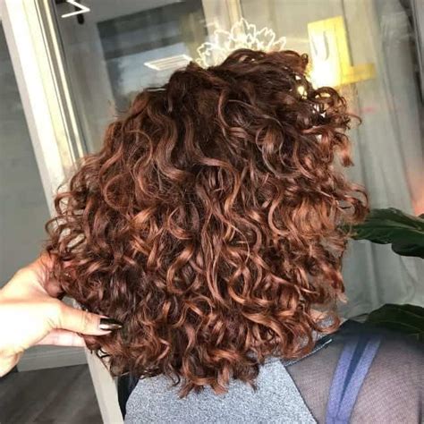 copper highlights on dark brown curly hair|10 Curly Hair with Highlights Looks this Season and Beyond